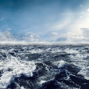 Meet your Posher, Journey